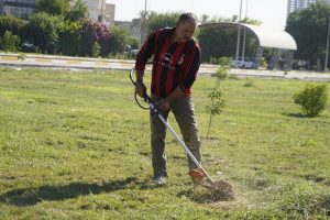 جامعة النهرين تواصل التوسع في مشروع الغابات الجامعية لتعزيز الرقعة الخضراء